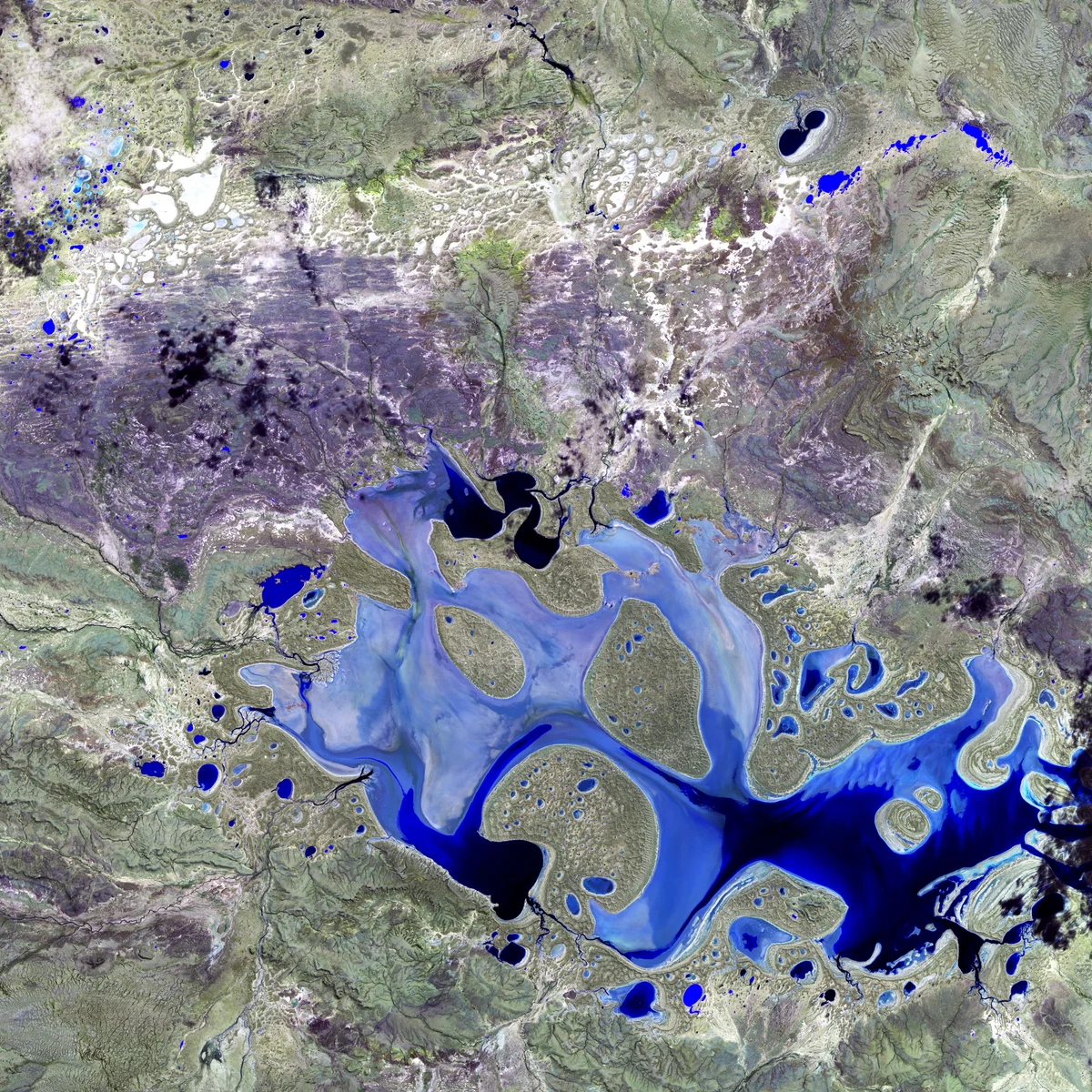 Branching blue water and soft green land in a satellite image of Lake Carnegie