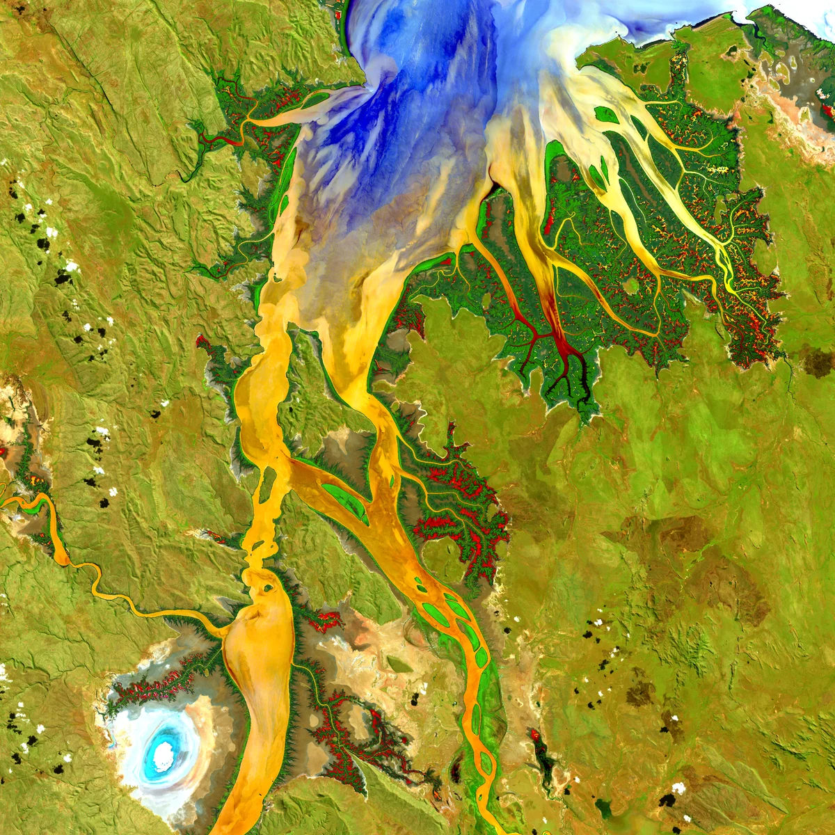 Golden channels and green mangroves meeting blue water in a processed satellite image of the Ord River estuary